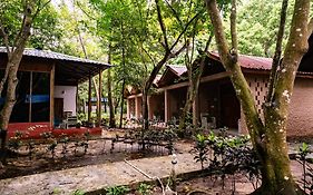 The Diveresort And Dancing Dugong Cafe
